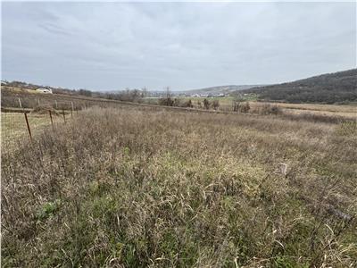 Teren intravilan 1000 mp - Șorogari - Aroneanu